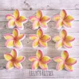 Plumeria bath bomb